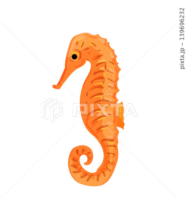 Seahorse Illustration Seahorse Illustration 139696232