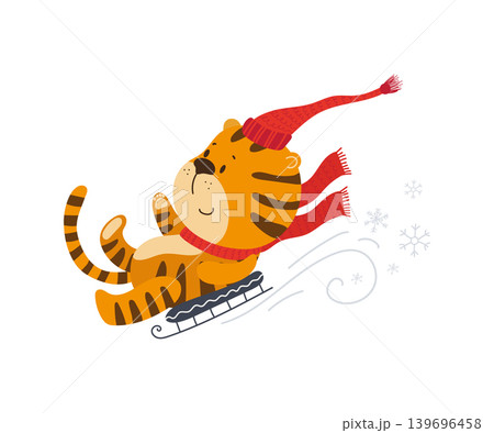 Tiger Sledding Fun 139696458