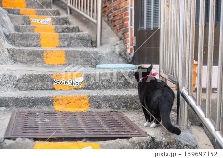 Cute black cat at staircases of Gamcheon Culture Village, Busan Cute black cat at staircases of Gamcheon Culture Village, Busan 139697152