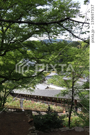 風景 139697337