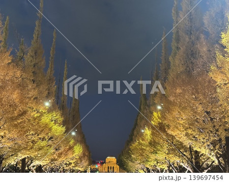 イチョウ並木　紅葉　日本の絶景　 139697454