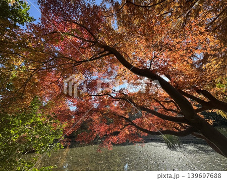 紅葉　日本の絶景 139697688