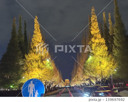 紅葉 日本の絶景 紅葉 日本の絶景 139697692