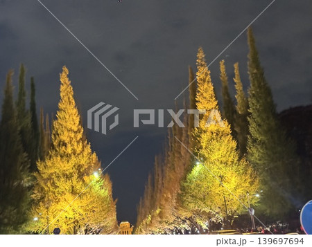 紅葉　日本の絶景 139697694
