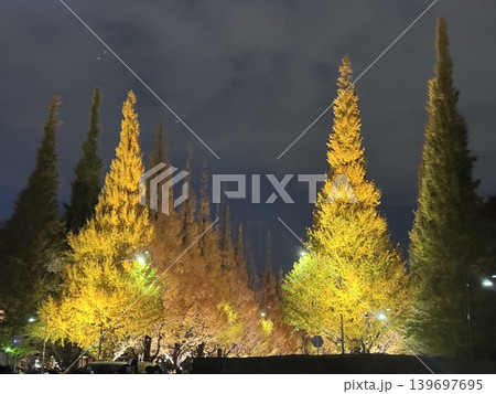 紅葉　日本の絶景 139697695