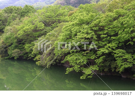 新緑の荒川:寄居橋からの眺め(埼玉県大里郡寄居町) 新緑の荒川:寄居橋からの眺め(埼玉県大里郡寄居町) 139698017
