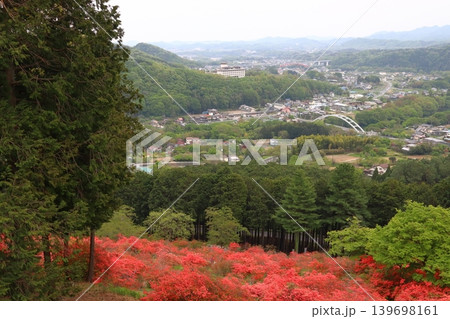 金尾山のヤマツツジと秩父鉄道線（埼玉県大里郡寄居町） 139698161