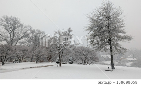 Empty wooden bench under snow-covered tree in scenic winter park landscape. 139699059