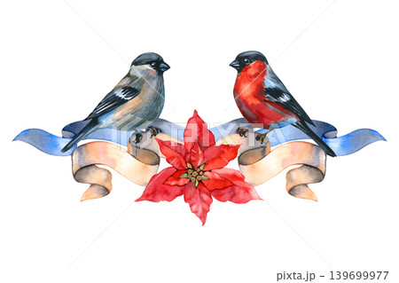 Watercolor Christmas composition, gracefully hand drawn. It features a pair of bullfinch birds perched on an elegant beige and blue ribbon scroll, with a vibrant red poinsettia flower blooming at the Watercolor Christmas composition, gracefully hand drawn. It features a pair of bullfinch birds perched on an elegant beige and blue ribbon scroll, with a vibrant red poinsettia flower blooming at the 139699977