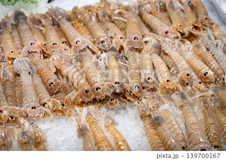 Fresh mantis shrimp on ice at Mediterranean seafood market. Fresh seafood trade. Fresh mantis shrimp on ice at Mediterranean seafood market. Fresh seafood trade. 139700167