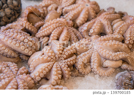Fresh Octopus Displayed on Ice at Traditional Seafood Market Counter Fresh Octopus Displayed on Ice at Traditional Seafood Market Counter 139700185