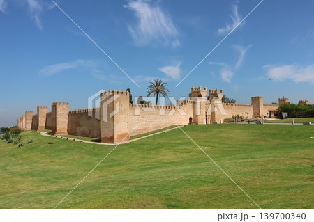 Panoramic view of an ancient fortified stone wall and historic gate under a vivid blue sky with wispy clouds, surrounded by green lawns and palm trees in daylight. Panoramic view of an ancient fortified stone wall and historic gate under a vivid blue sky with wispy clouds, surrounded by green lawns and palm trees in daylight. 139700340