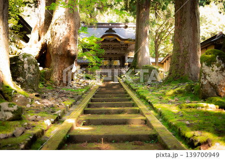 苔むした寺 永平寺 苔むした寺 永平寺 139700949