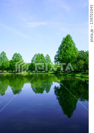 9636　川越水上公園 139701045