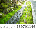 苔むした小道 苔むした小道 139701146