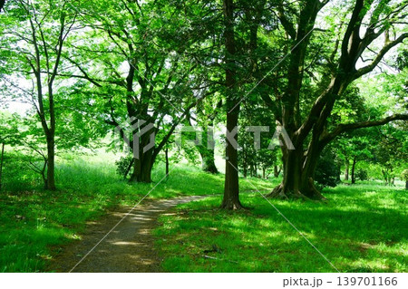 9642 川越水上公園 9642 川越水上公園 139701166