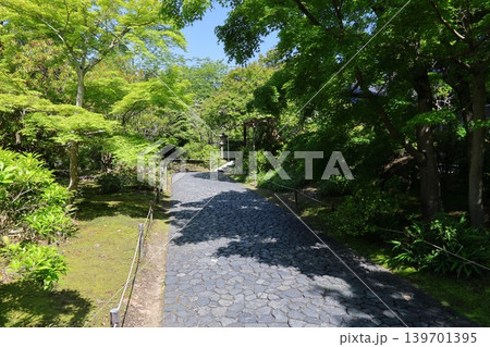 ◇好古園（正式名称　姫路城西御屋敷跡庭園好古園）／ 兵庫県姫路市 139701395