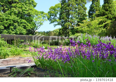 ◇好古園（正式名称　姫路城西御屋敷跡庭園好古園）／ 兵庫県姫路市 139701418