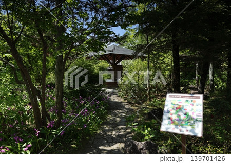 ◇好古園(正式名称 姫路城西御屋敷跡庭園好古園)/ 兵庫県姫路市 ◇好古園(正式名称 姫路城西御屋敷跡庭園好古園)/ 兵庫県姫路市 139701426