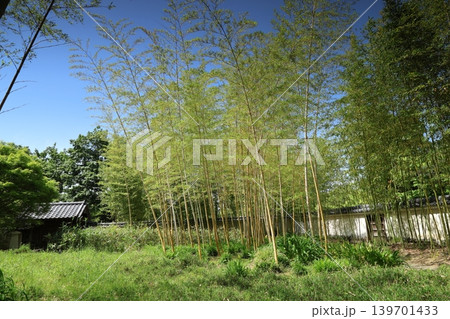 ◇好古園(正式名称 姫路城西御屋敷跡庭園好古園)/ 兵庫県姫路市 ◇好古園(正式名称 姫路城西御屋敷跡庭園好古園)/ 兵庫県姫路市 139701433
