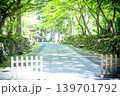 苔むした寺 永平寺 苔むした寺 永平寺 139701792