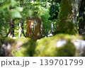 苔むした寺 永平寺 苔むした寺 永平寺 139701799