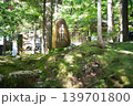 苔むした寺 永平寺 苔むした寺 永平寺 139701800