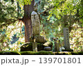 苔むした寺 永平寺 苔むした寺 永平寺 139701801