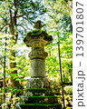 苔むした寺 永平寺 苔むした寺 永平寺 139701807