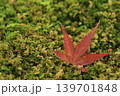 落ち葉 139701848
