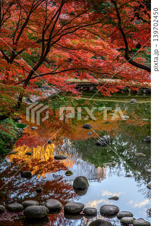紅葉(小石川後楽園) 紅葉(小石川後楽園) 139702450