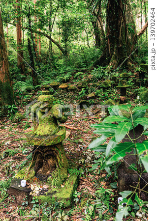 苔に覆われた神秘の石像と屋久島の森 苔に覆われた神秘の石像と屋久島の森 139702464