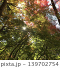 紅葉したモミジと太陽 139702754
