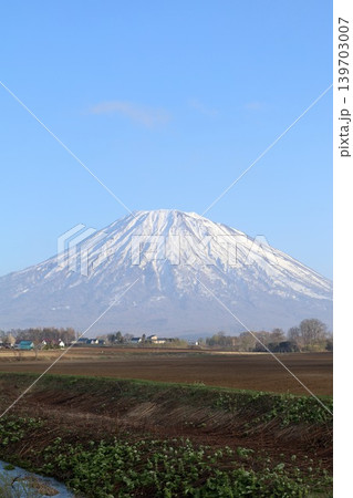五月の北海道、春の北海道、虻田郡、倶知安町くっちゃんちょうの農道から眺める北海道蝦夷富士の羊蹄山 139703007