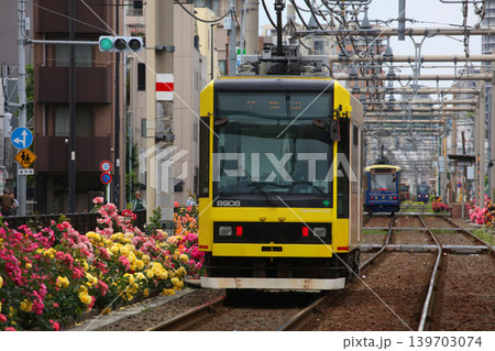バラが咲き乱れる都電荒川線 139703074
