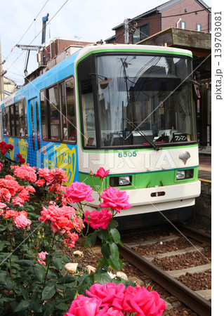 バラが咲き乱れる都電荒川線 139703081