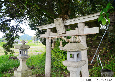 鳥取県 南部町 客神社 5月 鳥取県 南部町 客神社 5月 139703432