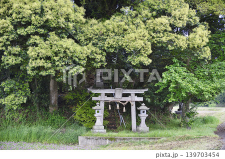 鳥取県 南部町 客神社 5月 鳥取県 南部町 客神社 5月 139703454
