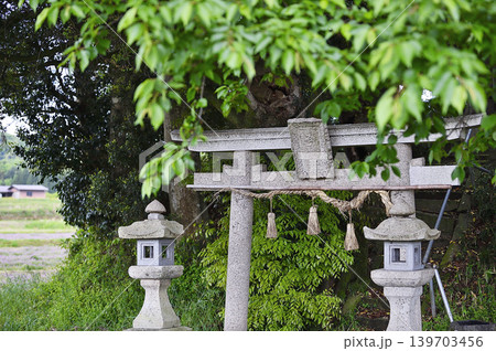 鳥取県 南部町 客神社 5月 鳥取県 南部町 客神社 5月 139703456