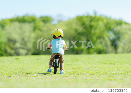 公園でキックバイクにまたがる2歳の男の子 139703542