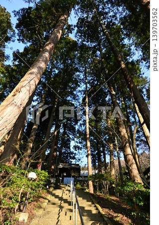 杉並木と妙法寺（新潟県長岡市） 139703562