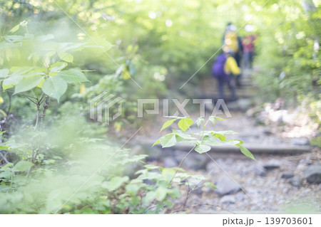 新緑・初夏の大山夏山登山道を楽しむイメージ 新緑・初夏の大山夏山登山道を楽しむイメージ 139703601