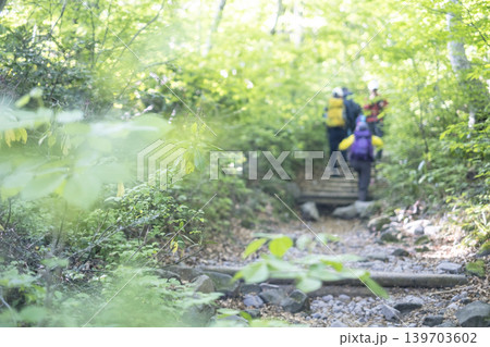 新緑・初夏の大山夏山登山道を楽しむイメージ 新緑・初夏の大山夏山登山道を楽しむイメージ 139703602