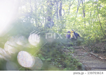 新緑・初夏の大山夏山登山道を楽しむイメージ 新緑・初夏の大山夏山登山道を楽しむイメージ 139703614