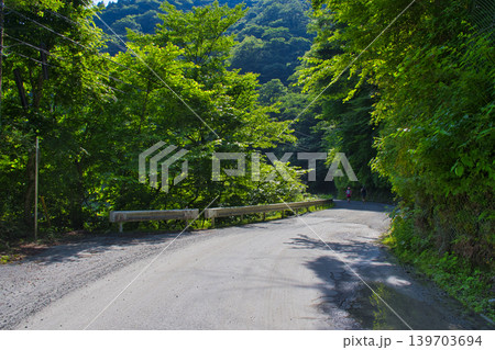 【神奈川県】玄倉林道～ユーシン渓谷へのハイキングコース 139703694