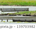 鳥取県米子市　水鳥公園 139703982