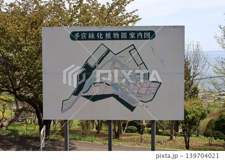 五月六日の北海道、小樽市、小樽の手宮公園、正式には手宮緑化植物園、春の花咲き乱れる港湾を望む公園です 139704021