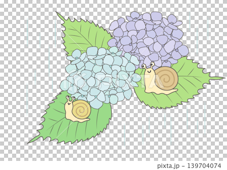 雨中繡球花和蝸牛的插圖。 雨中繡球花和蝸牛的插圖。 139704074