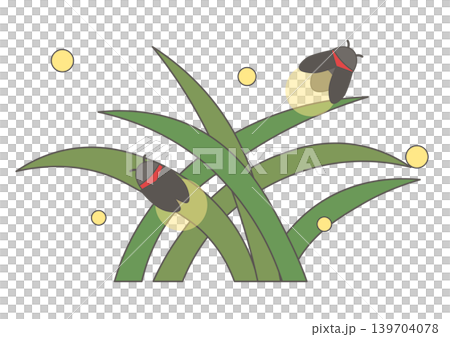 草叢中螢火蟲的插圖 草叢中螢火蟲的插圖 139704078