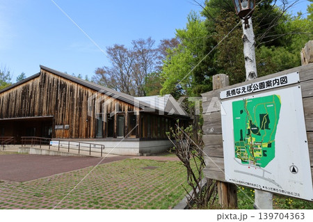 五月六日の北海道、小樽市のマイナーな公園、長橋なえぼ公園で散歩、桜や水芭蕉など植物満載、北海道の森 五月六日の北海道、小樽市のマイナーな公園、長橋なえぼ公園で散歩、桜や水芭蕉など植物満載、北海道の森 139704363